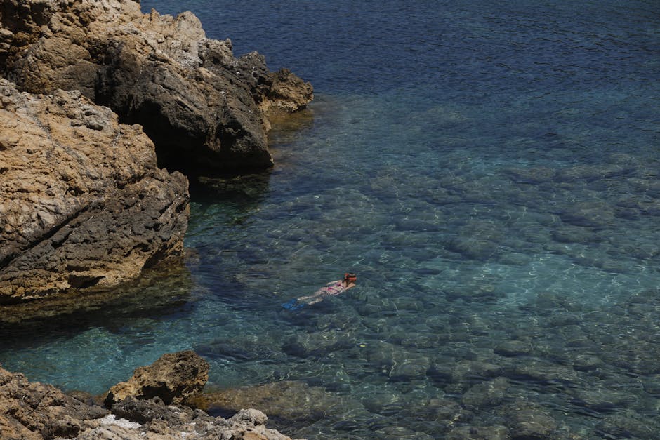 Punta Pizzo rocky cove snorkeling clear water