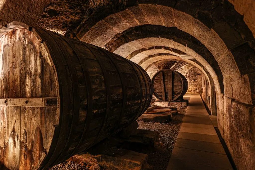 Ancient stone-arched cellar in Lecce housing large wooden wine vats