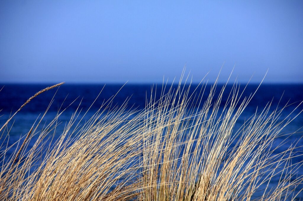 Dune di sabbia a Marina di Pescoluse